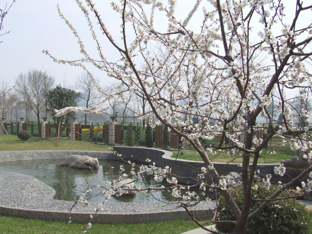 Green Park Hotel Tianjin Binhai  Εξωτερικό φωτογραφία